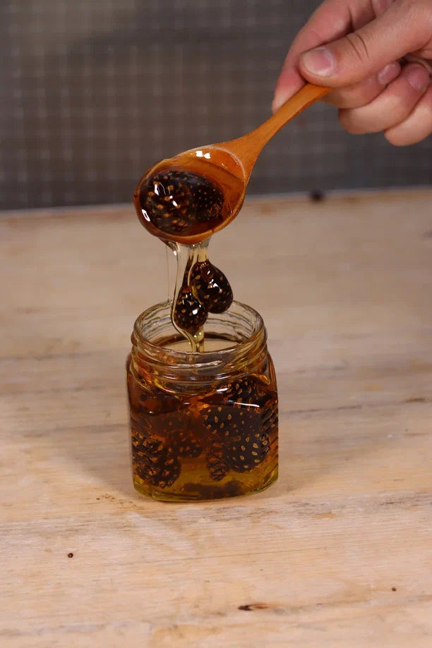 Honey with pine cone