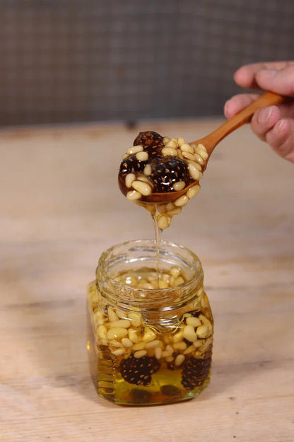 Honey mix with pine nuts and pine cones